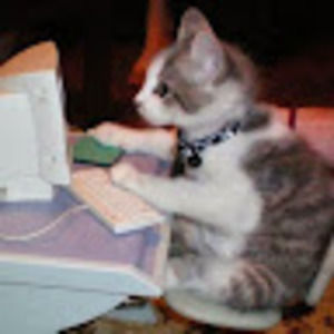 Meet your Posher, Kat